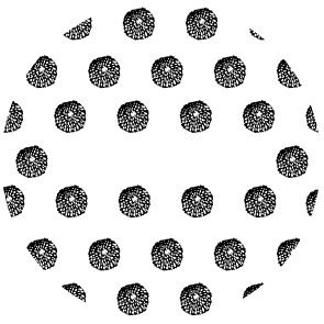 会社の紹介